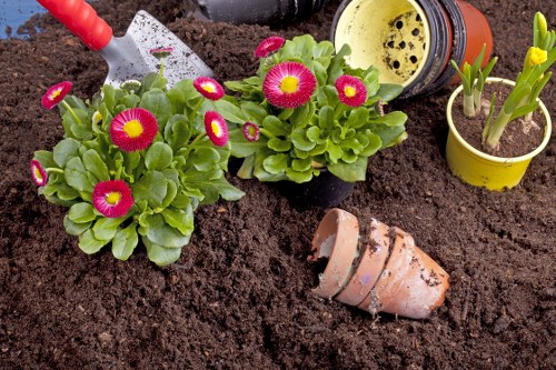 Soft landscaping planting and garden borders in Finchley