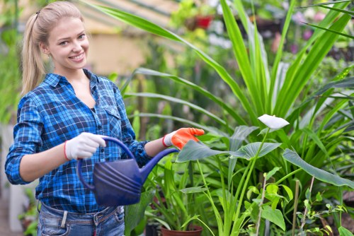 Illustration representing accessible Landscaping Finchley content