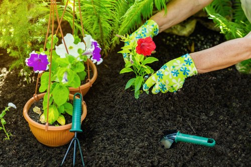 Finchley garden landscaping with planting and paving design