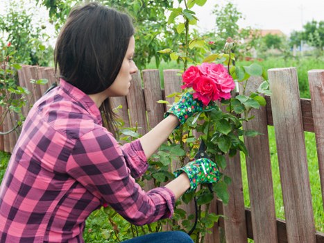 Professional landscaping safety procedures in Finchley