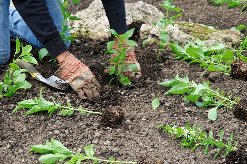 Practical garden drainage solution for a Finchley property