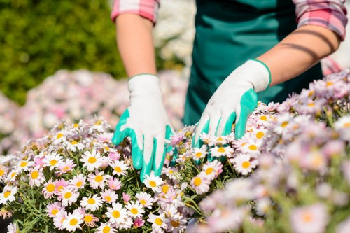 Supplier compliance check in a Finchley landscaping supply chain