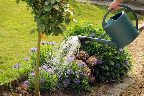 Outdoor landscaping transformation for a Finchley home