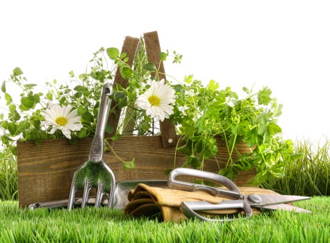 Garden waste and site clearance before lawful disposal