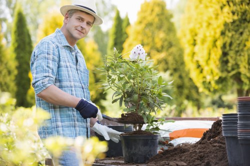 Reused plants and materials prepared for charitable donation